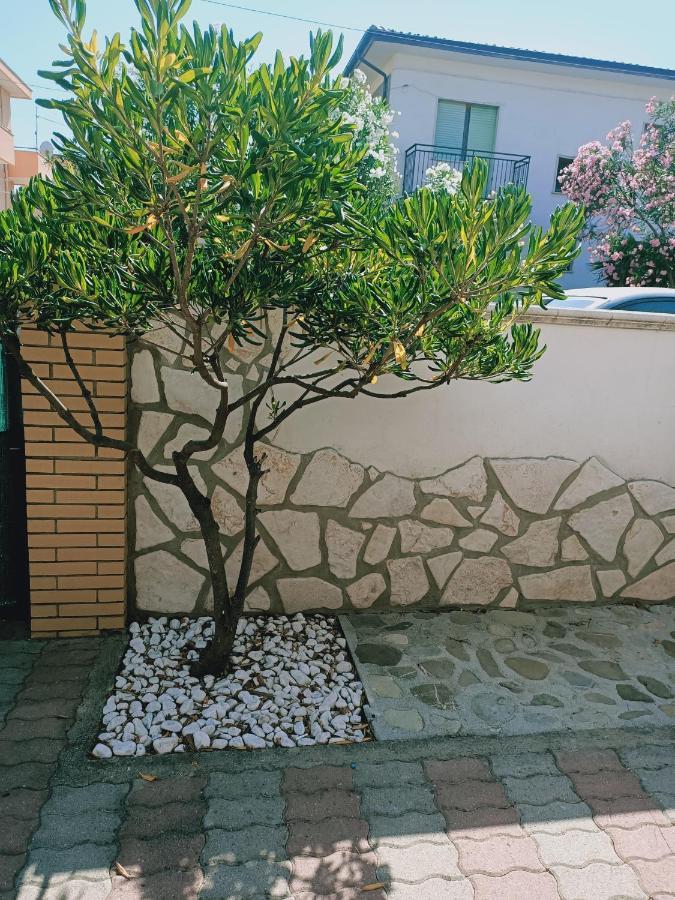 Piano Terra A Due Passi Dal Mare Apartment